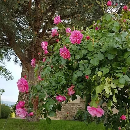 Relais De Navon 3* Saint-Joseph (Loire)