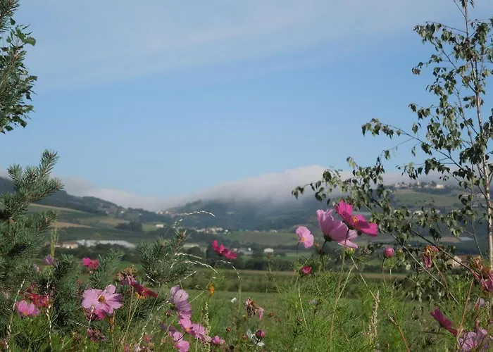 Bed & Breakfast Relais De Navon Saint-Joseph (Loire)