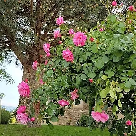 Relais De Navon 3* Saint-Joseph (Loire)